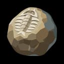 Precious Fossilized Core