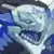 Ice Dragon Raid - Normal