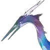 Echo Image