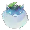 Echo Image