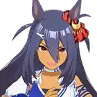 Hishi Amazon