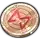 Meowlux Wish Coins