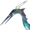 Echo Image